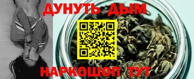 гидропоника Гатчина