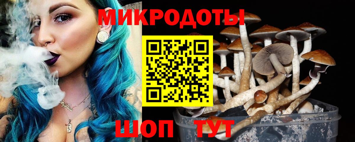 Псилоцибиновые грибы Psilocybe  Вход с VPN  Галлюциногенные грибы прущие грибы  Великие Луки 