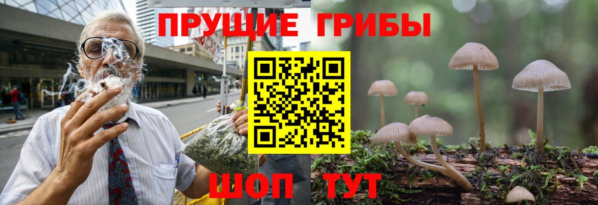 Галлюциногенные грибы Magic Shrooms  Псилоцибиновые грибы мухоморы  Великие Луки 